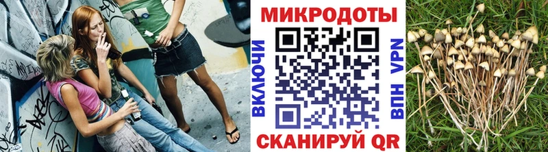 Купить закладки  Гуково  Галлюциногенные грибы Magic Shrooms 